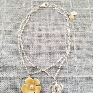 NEW PILGRIM Collection